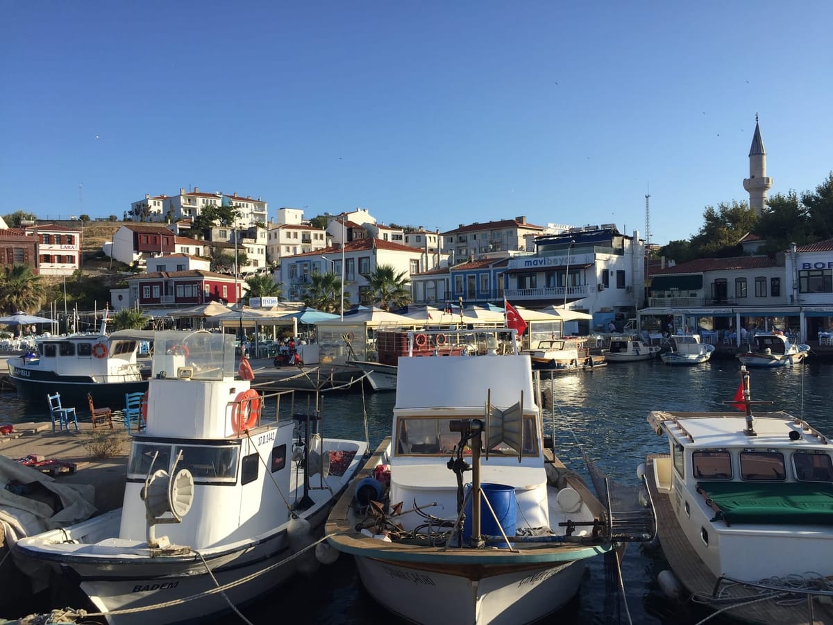 Drafts of the Mind #1